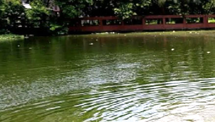 পুকুরের পানিতে ডুবে প্রাণ গেল দুই শিশুর